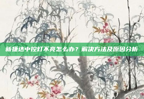 新捷达中控灯不亮怎么办？解决方法及原因分析