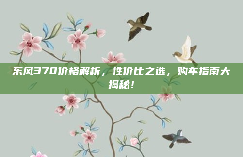 东风370价格解析,性价比之选,购车指南大揭秘!