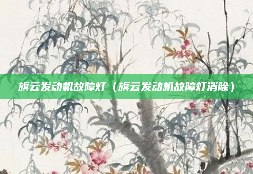 旗云发动机故障灯（旗云发动机故障灯消除）