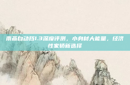 雨燕自动挡1.3深度评测,小身材大能量,经济性家轿新选择