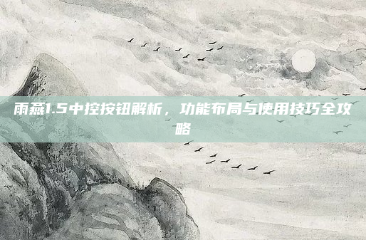 雨燕1.5中控按钮解析,功能布局与使用技巧全攻略