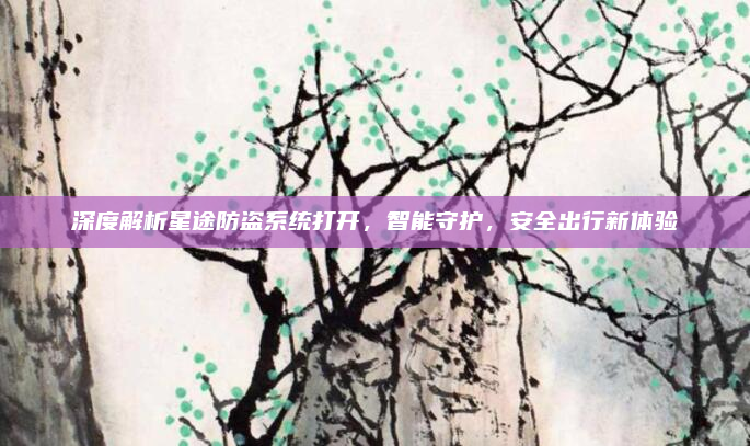 深度解析星途防盗系统打开,智能守护,安全出行新体验