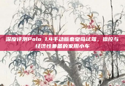 深度评测Polo 1.4手动版秦皇岛试驾,操控与经济性兼备的家用小车