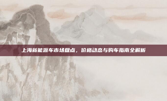 上海新能源车市场盘点，价格动态与购车指南全解析