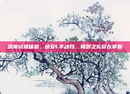 深度试驾体验,途安L手动挡,驾驭之乐尽在掌握