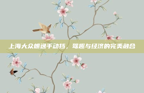 上海大众朗逸手动挡,驾趣与经济的完美融合