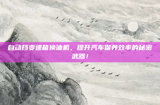 自动挡变速箱换油机，提升汽车保养效率的秘密武器！