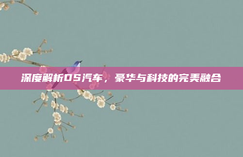 深度解析DS汽车,豪华与科技的完美融合