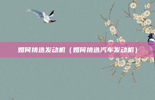 如何挑选发动机(如何挑选汽车发动机)