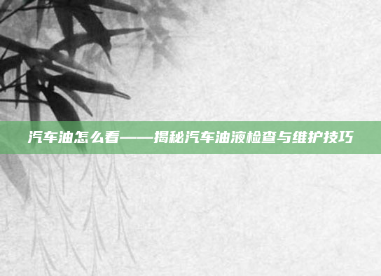 汽车油怎么看——揭秘汽车油液检查与维护技巧