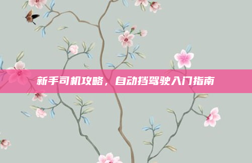 新手司机攻略，自动挡驾驶入门指南