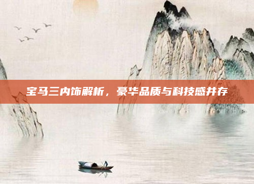 宝马三内饰解析，豪华品质与科技感并存