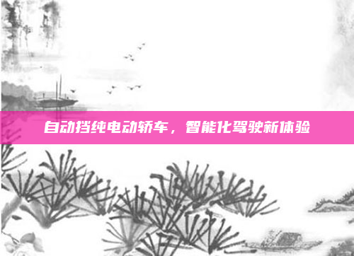 自动挡纯电动轿车,智能化驾驶新体验