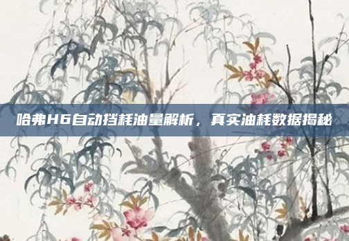 哈弗H6自动挡耗油量解析，真实油耗数据揭秘