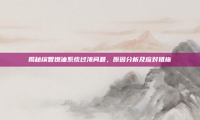 揭秘缤智燃油系统过浓问题,原因分析及应对措施