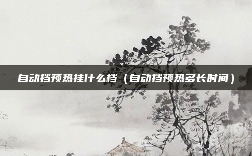 自动挡预热挂什么档(自动挡预热多长时间)