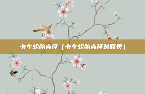 卡车轮胎直径(卡车轮胎直径对照表)