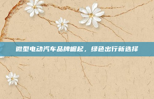 微型电动汽车品牌崛起,绿色出行新选择