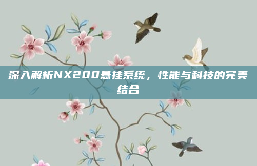 深入解析NX200悬挂系统,性能与科技的完美结合