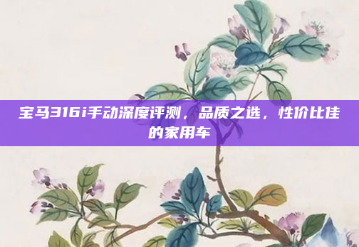 宝马316i手动深度评测，品质之选，性价比佳的家用车