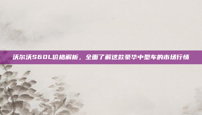 沃尔沃S60L价格解析,全面了解这款豪华中型车的市场行情