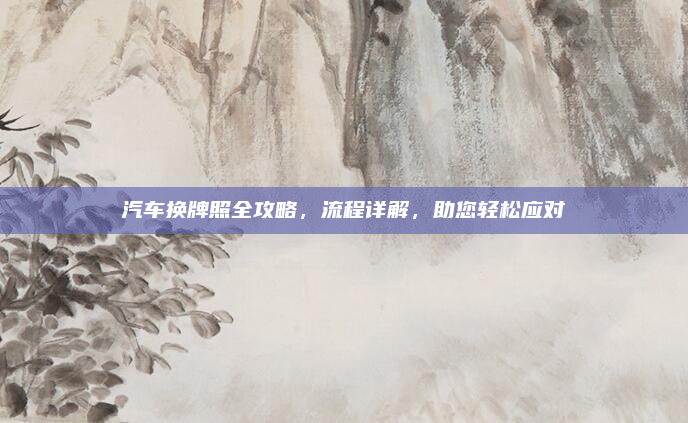汽车换牌照全攻略,流程详解,助您轻松应对