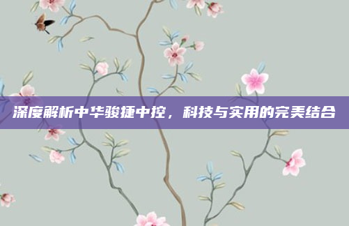 深度解析中华骏捷中控,科技与实用的完美结合