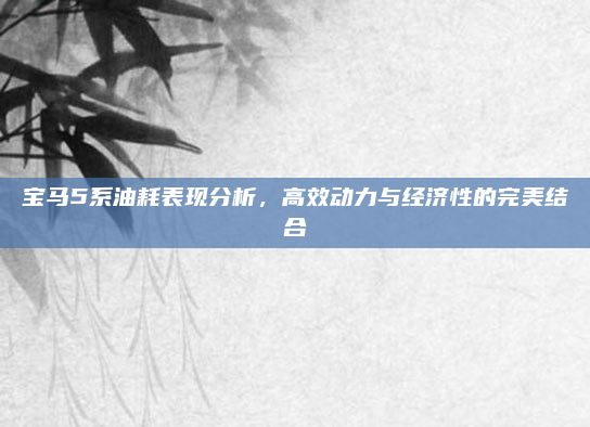 宝马5系油耗表现分析，高效动力与经济性的完美结合