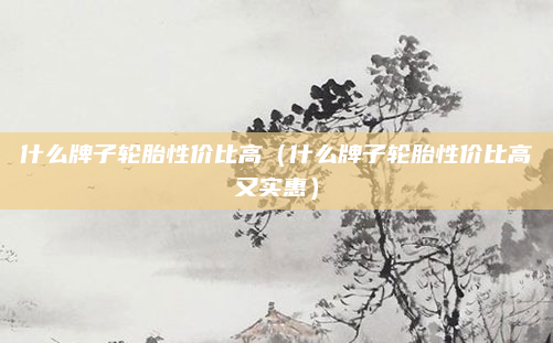 什么牌子轮胎性价比高(什么牌子轮胎性价比高又实惠)