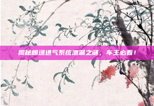 揭秘朗逸进气系统泄漏之谜,车主必看!