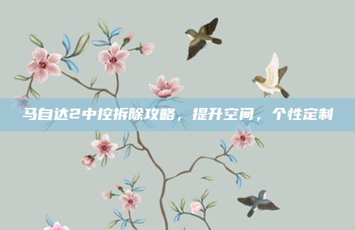 马自达2中控拆除攻略，提升空间，个性定制