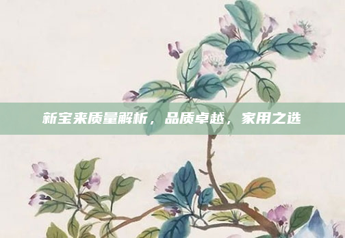 新宝来质量解析，品质卓越，家用之选