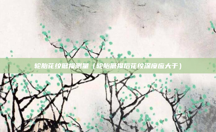 轮胎花纹磨损测量(轮胎磨损后花纹深度应大于)