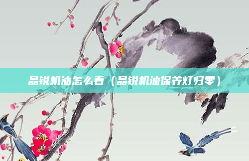 晶锐机油怎么看(晶锐机油保养灯归零)