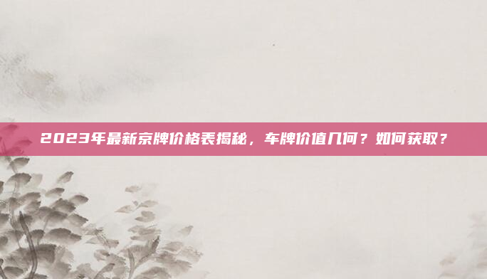 2023年最新京牌价格表揭秘,车牌价值几何?如何获取?