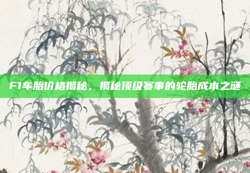 F1车胎价格揭秘，揭秘顶级赛事的轮胎成本之谜