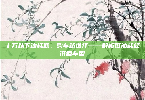 十万以下油耗低,购车新选择——解析低油耗经济型车型