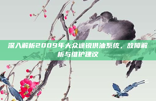 深入解析2009年大众途锐供油系统,故障解析与维护建议