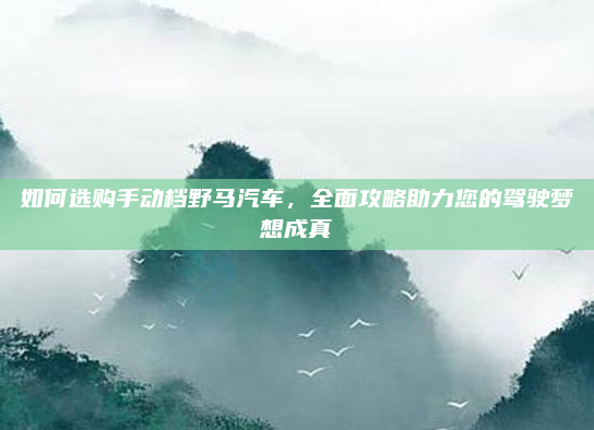 如何选购手动档野马汽车，全面攻略助力您的驾驶梦想成真