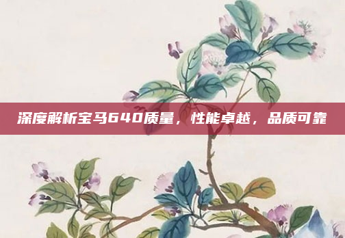 深度解析宝马640质量，性能卓越，品质可靠
