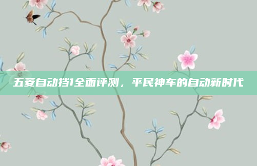 五菱自动挡1全面评测,平民神车的自动新时代