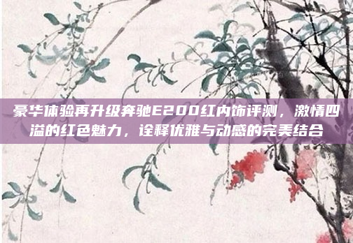 豪华体验再升级奔驰E200红内饰评测，激情四溢的红色魅力，诠释优雅与动感的完美结合
