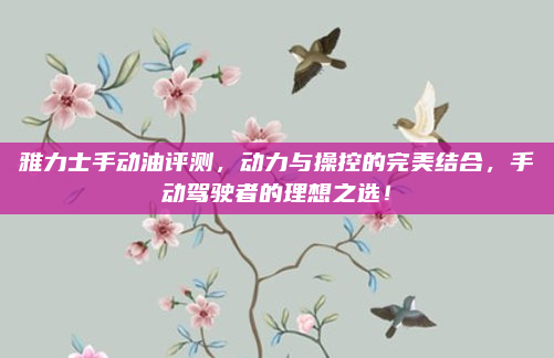 雅力士手动油评测，动力与操控的完美结合，手动驾驶者的理想之选！