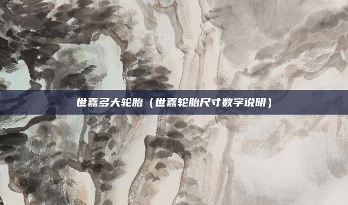 世嘉多大轮胎（世嘉轮胎尺寸数字说明）