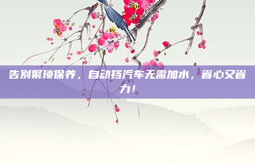 告别繁琐保养,自动挡汽车无需加水,省心又省力!