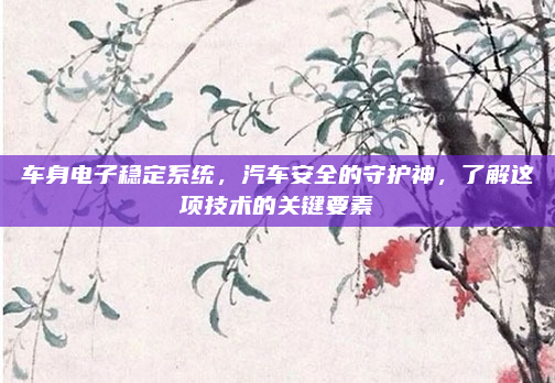 车身电子稳定系统,汽车安全的守护神,了解这项技术的关键要素