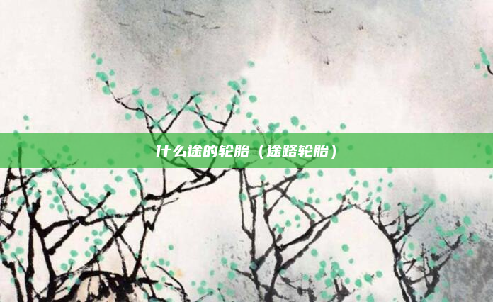 什么途的轮胎（途路轮胎）
