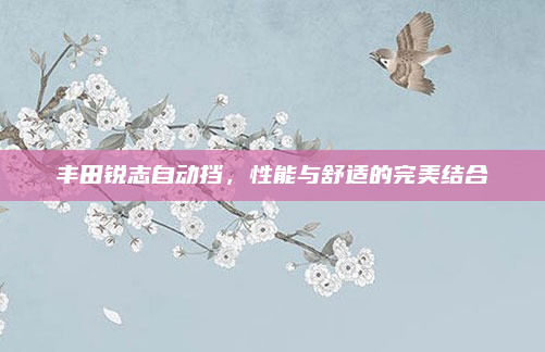 丰田锐志自动挡,性能与舒适的完美结合
