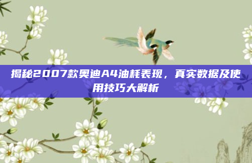 揭秘2007款奥迪A4油耗表现,真实数据及使用技巧大解析