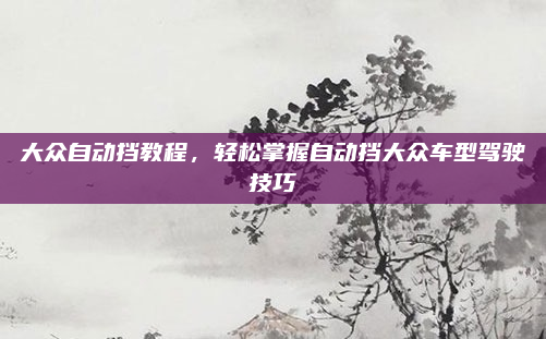 大众自动挡教程，轻松掌握自动挡大众车型驾驶技巧